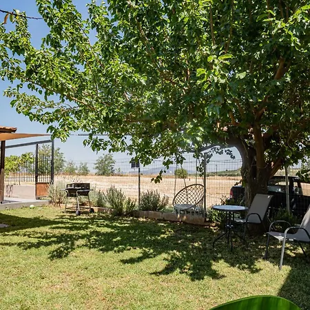 Garden Studio Feel Greek #x011
